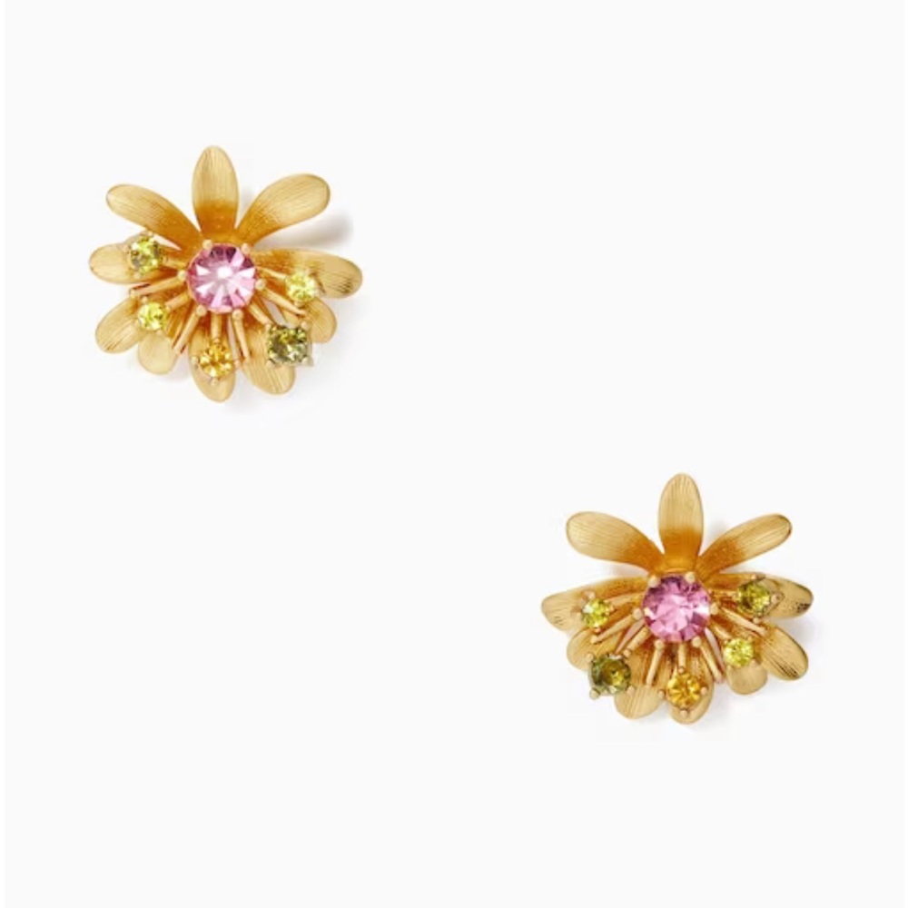 Kate spade earrings